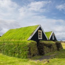 Зеленые крыши – будущее эко-архитектуры
